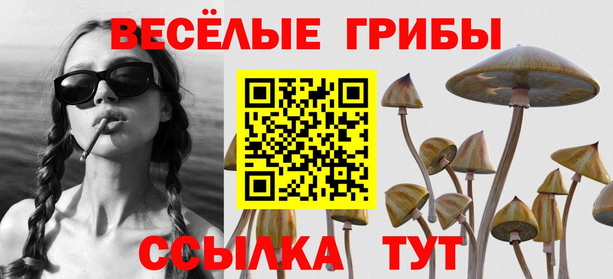 Галлюциногенные грибы ЛСД Ленинск-Кузнецкий